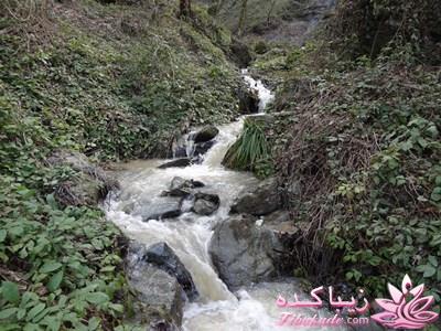 .:آلبوم عکسهای خودگرفته ما:.